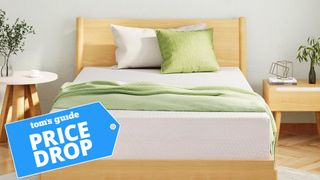 EgoHome Memory Foam mattress on a wooden bed frame with a green throw on it