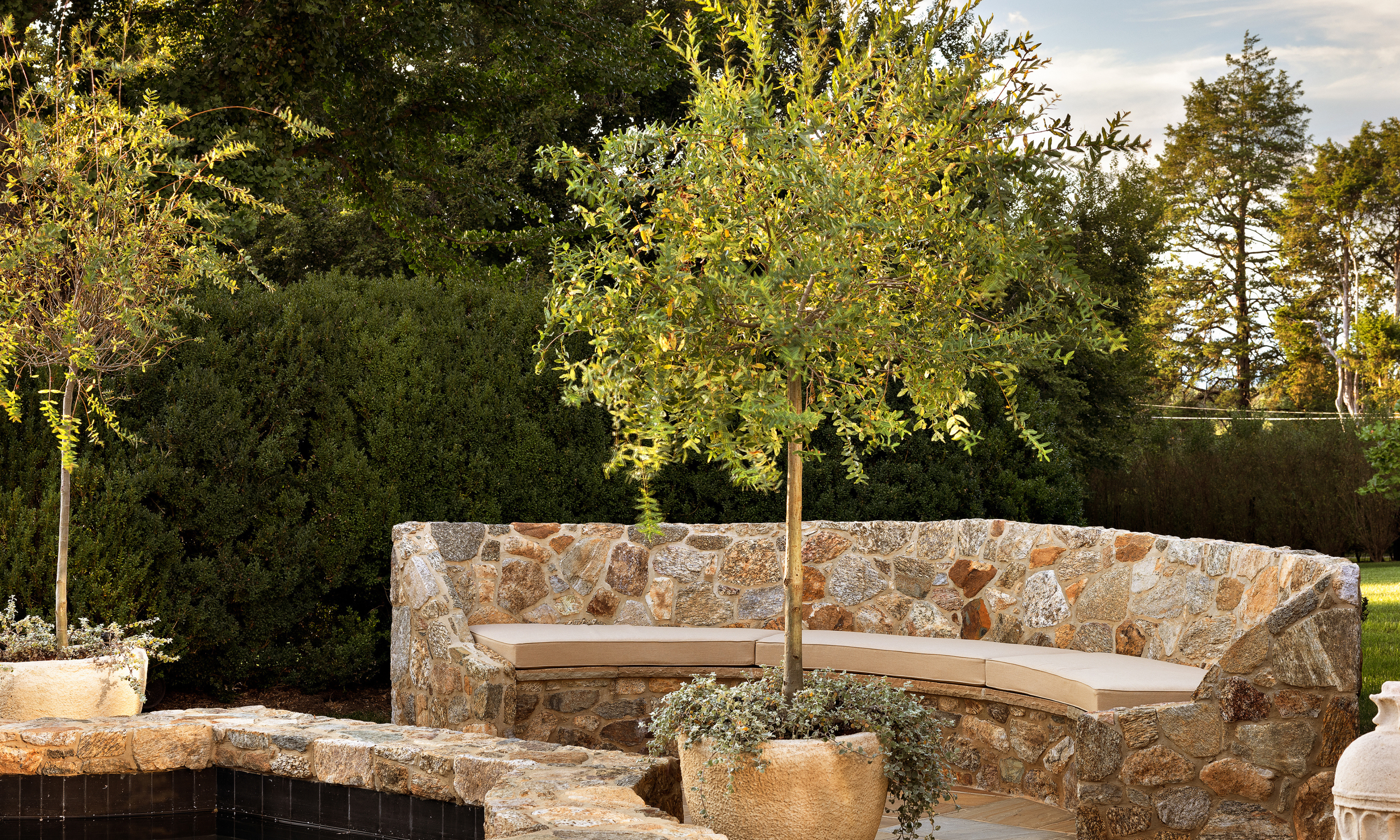 Stone curved bench with potted tree