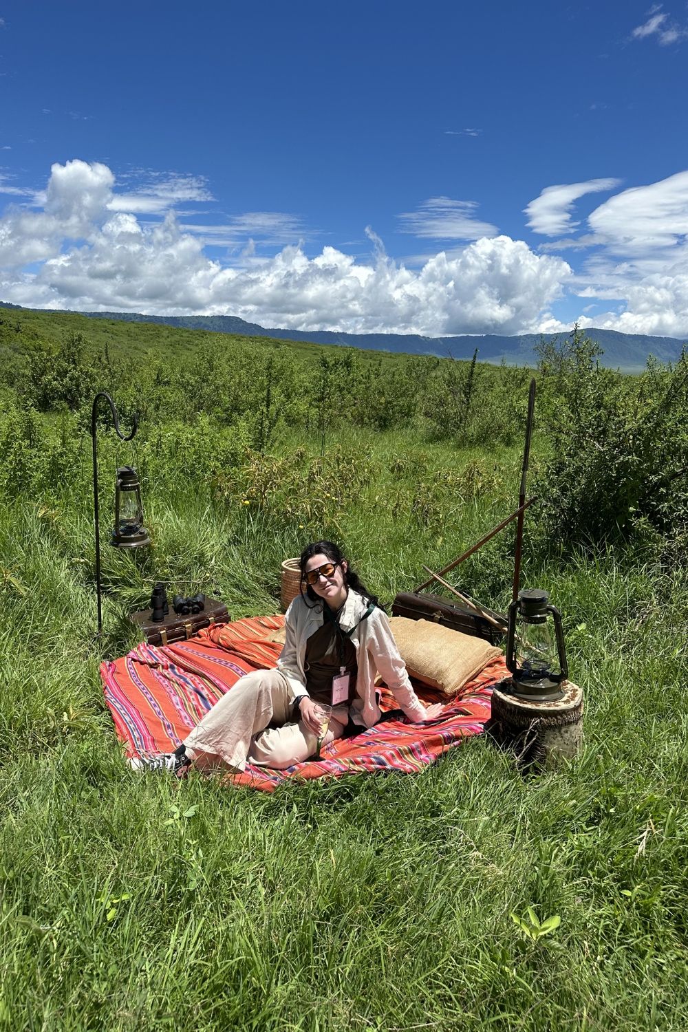Lunch in the savannah