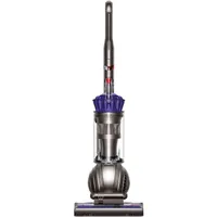 Dyson  Ball Animal