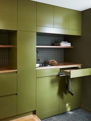 a green laundry room with pull out storage