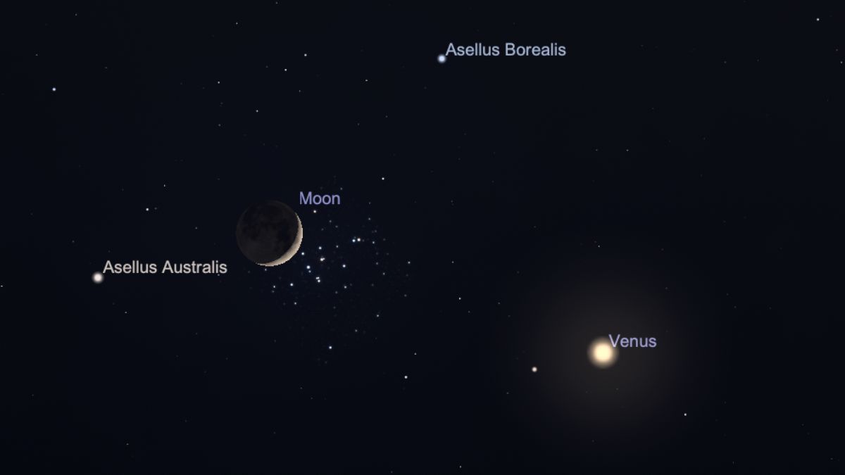 gráfico do céu noturno mostrando a lua brilhando perto do aglomerado de colmeias