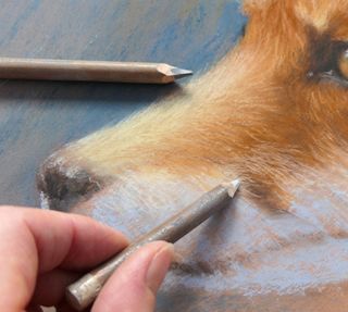 how to draw a fox - image of a fox in pastels