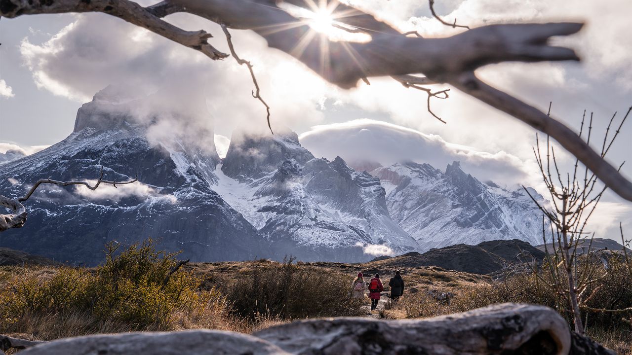 Hikers on trial head towards snow-capped mountains.