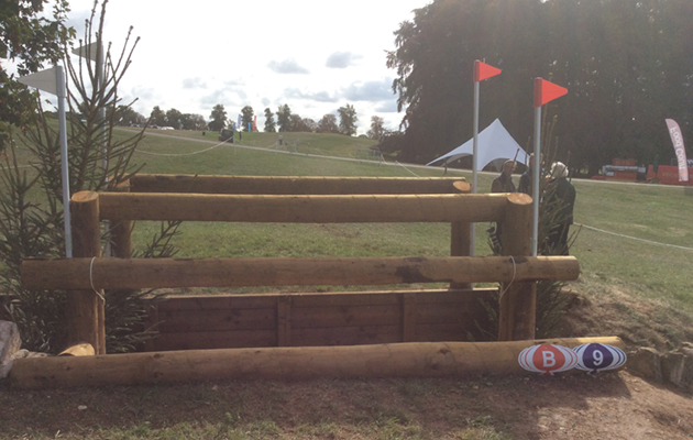 Blenheim Fences 2018