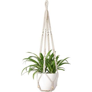 white Mkono macrame plant hanger with pot and plant on white background