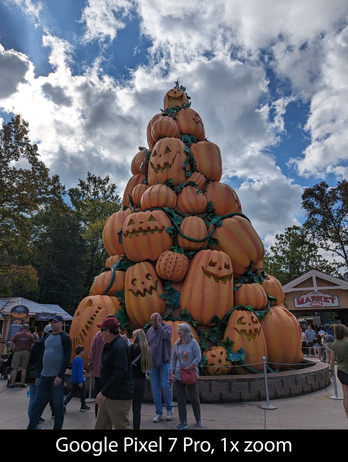 Camera samples from the Google Pixel 7 Pro's main camera
