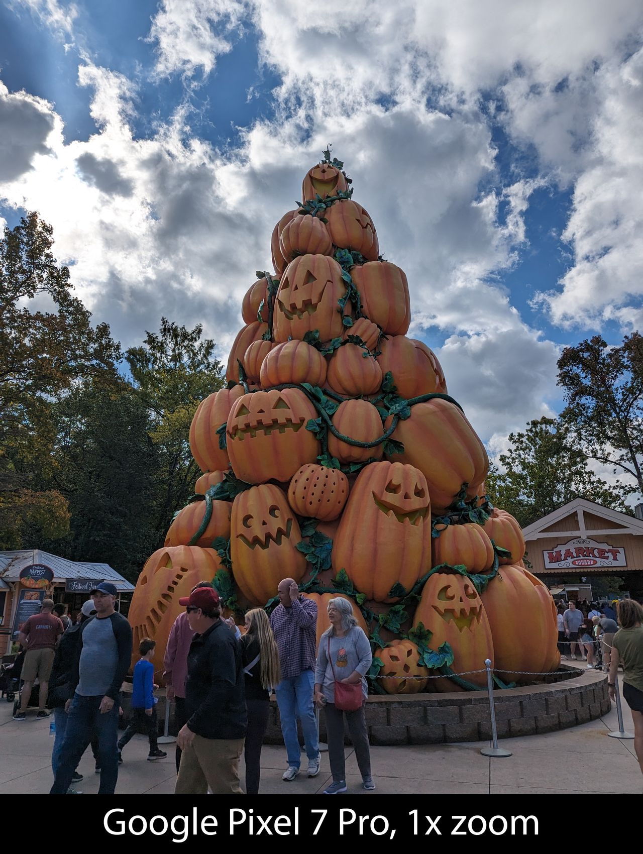 Camera samples from the Google Pixel 7 Pro's main camera