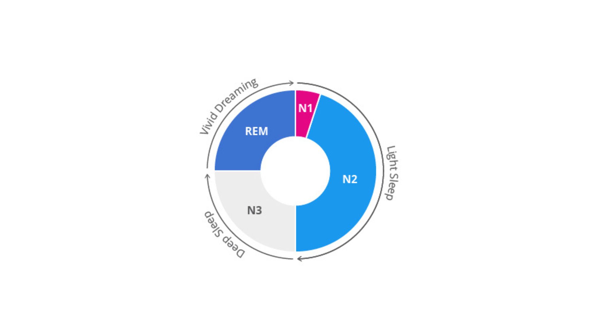 A circular diagram showing the natural flow of the sleep stages. Arrows point from light sleep to deep sleep to REM sleep and back around to show the cycle of sleep.