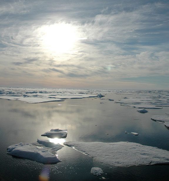 Arctic ice photographed in 2005.