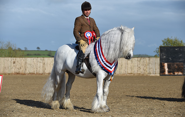 Murthwaite Ice Man and Terry Clynes Horse No 104; Supreme Champion during The Showing Register Spring Show at Onley EC near Rugby in Warwickshire, UK on 2nd May 2016