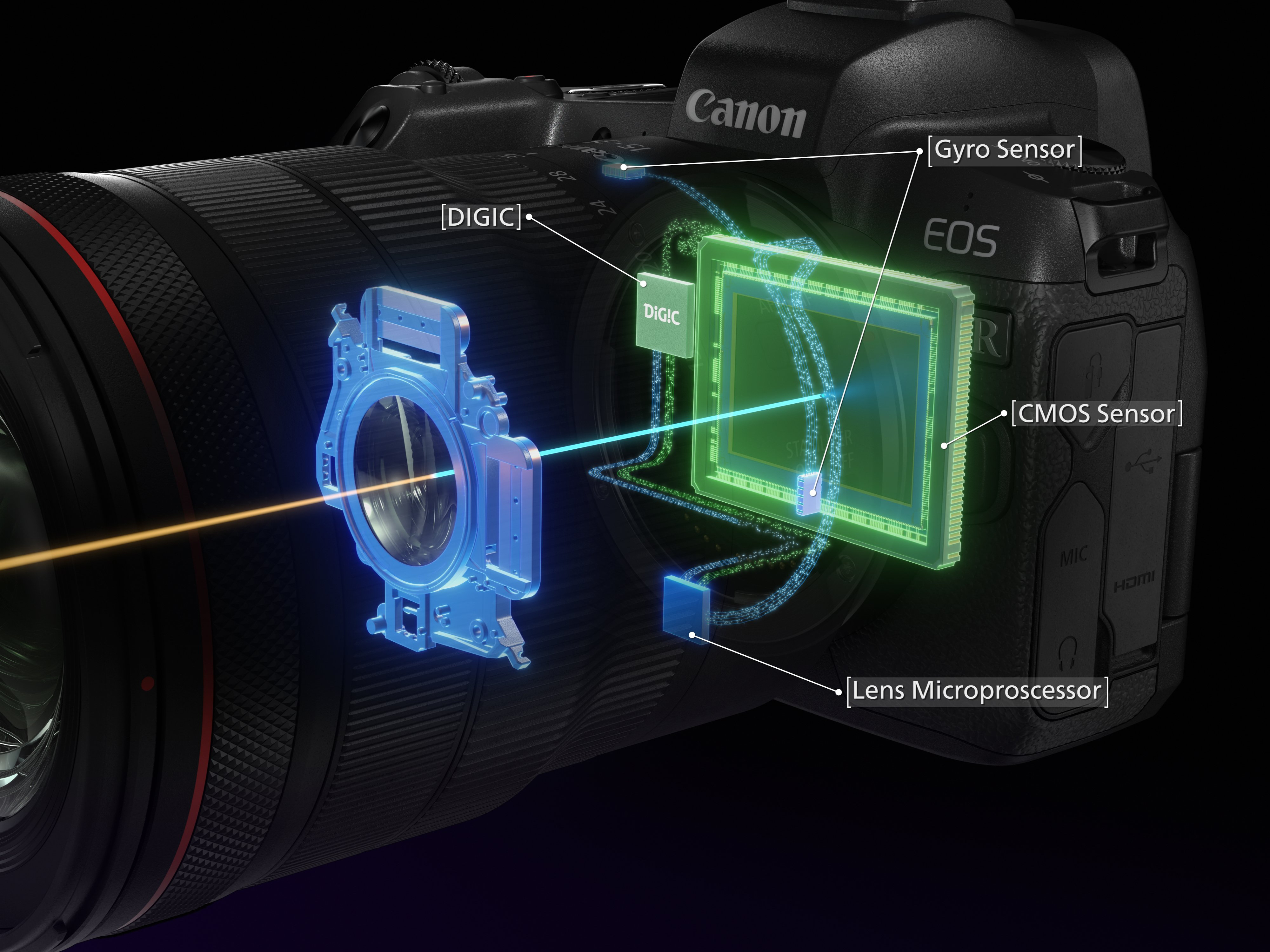 Make the most of Canon's Image Stabilization system