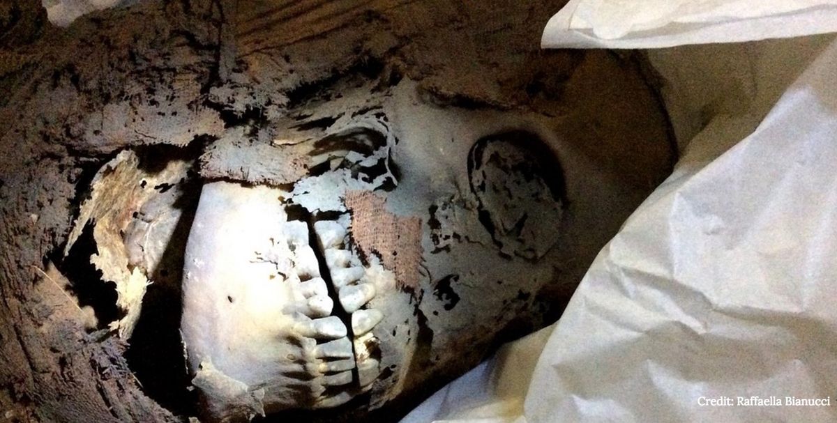 Researchers took skin samples from this ancient Egyptian mummy stored in the Egyptian Museum in Turin, Italy.