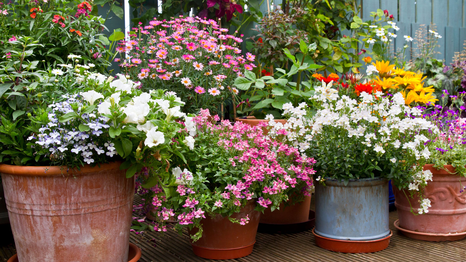 patio filled with potted plants in bloom