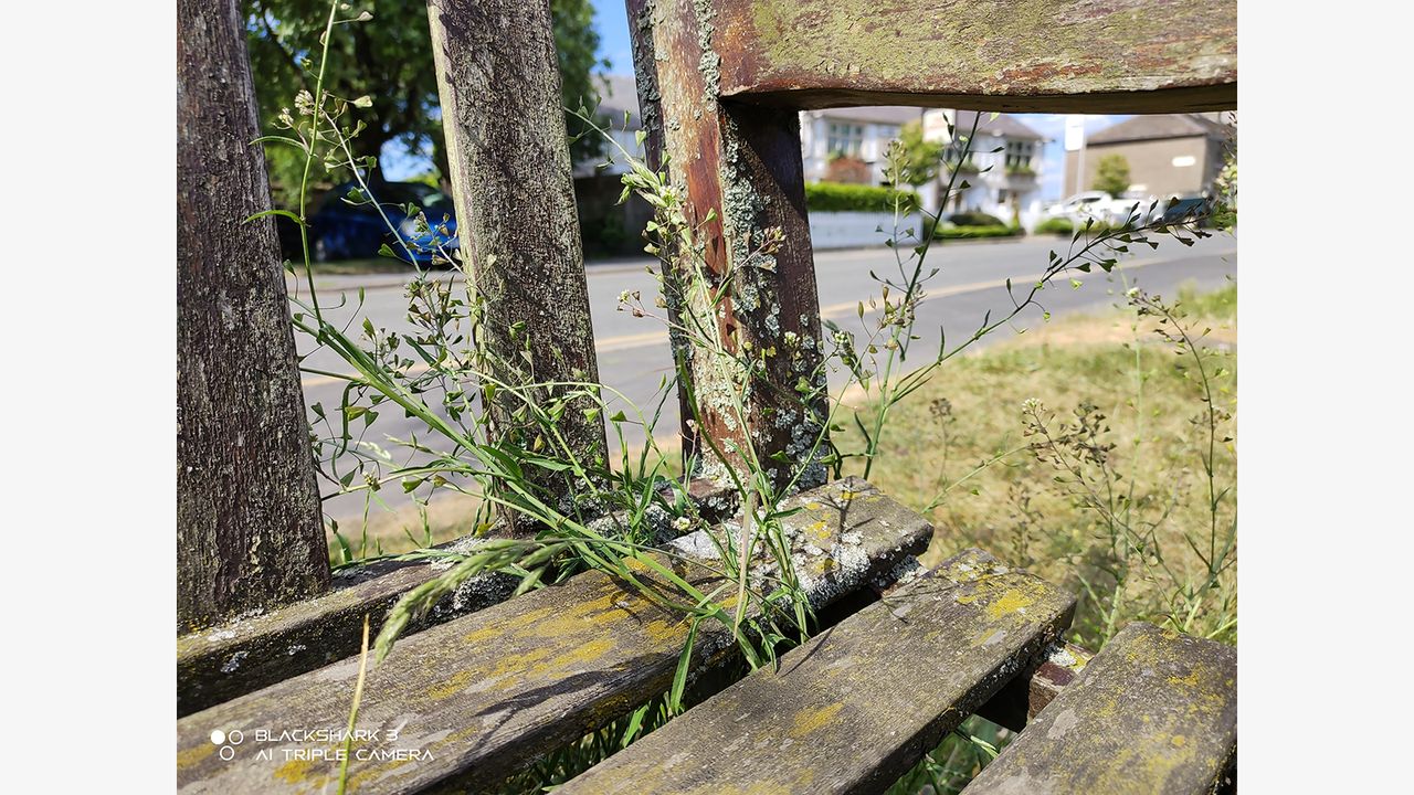 Xiaomi Black Shark 3 camera sample