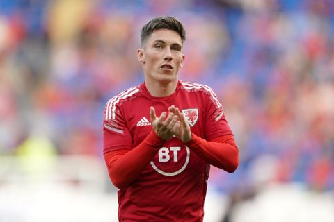 Marco Silva Thinks Injured Harry Wilson Will Be Fit For World Cup ...