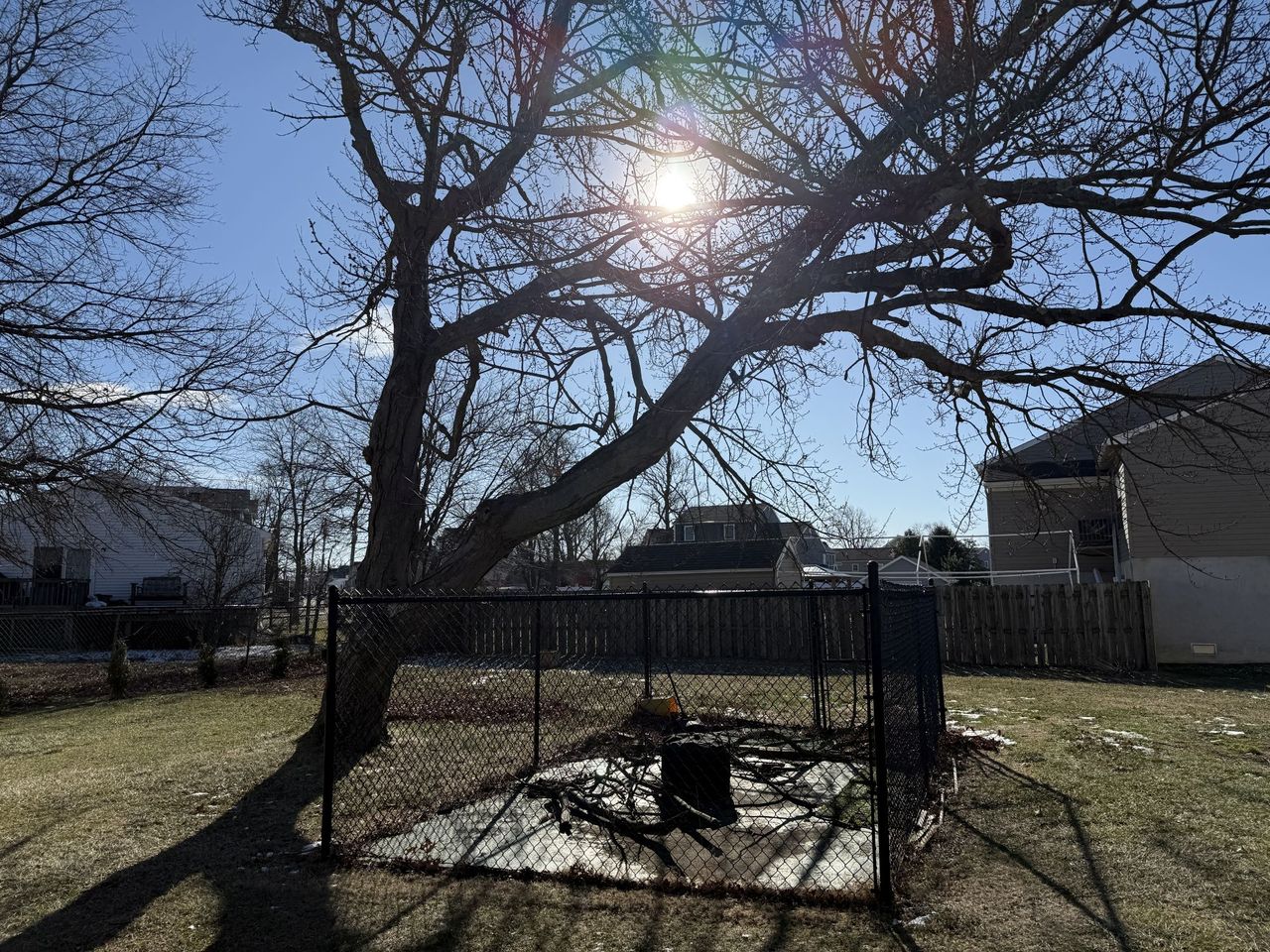 Apple iPhone 16 Pro Max dynamic range sample.