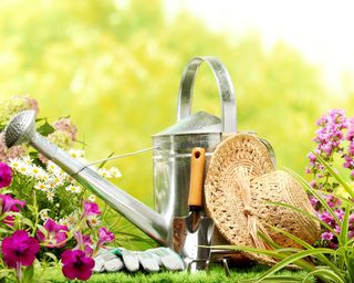 tools for planting a flower garden