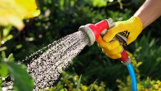 Man watering garden with a sprinkler hose