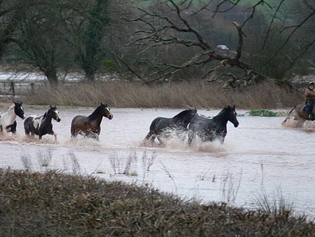 floodrescue.jpg
