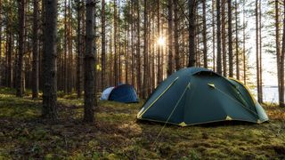 two tents pitched in forest