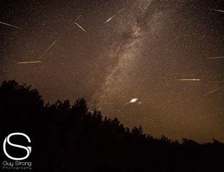 Night sky photographer Guy Strong combined 30 images of the 2013 Perseid meteor shower to create this composite view using observations captured between Aug. 11 and 12 in 2013 from Leelanau County Michigan on Lime Lake.