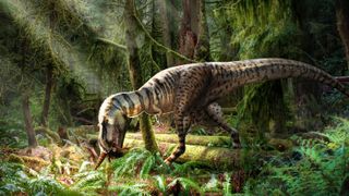 重构Gorgoauros食用小恐龙