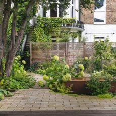 Patio area with hydrangea's shrubs, water feature with house in the background. Karen Howden and Tom Gandey's ground floor flat's garden in North London.