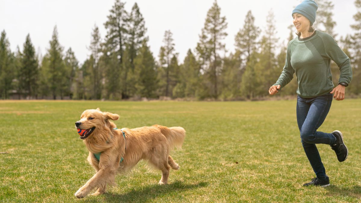 Woman playing with Golden Retriever in field