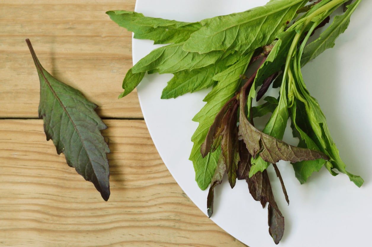 White Plate With Green Leafy Herbs