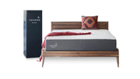 Mattress sale  25  off a Cocoon by Sealy mattress  plus get FREE pillows and sheets - 35