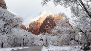 Winter scenery in Zion National Park, Utah, USA