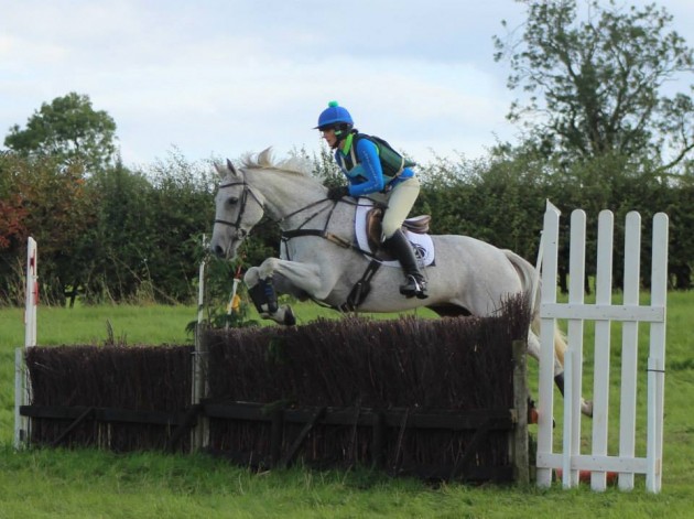 Bluey thinking he is back on the racecourse