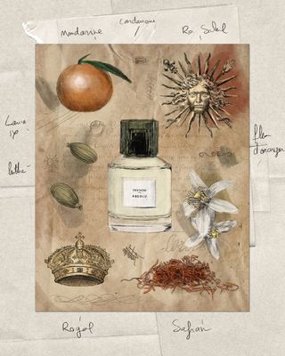 Trudon Absolu perfume illustration by Clovis Retif