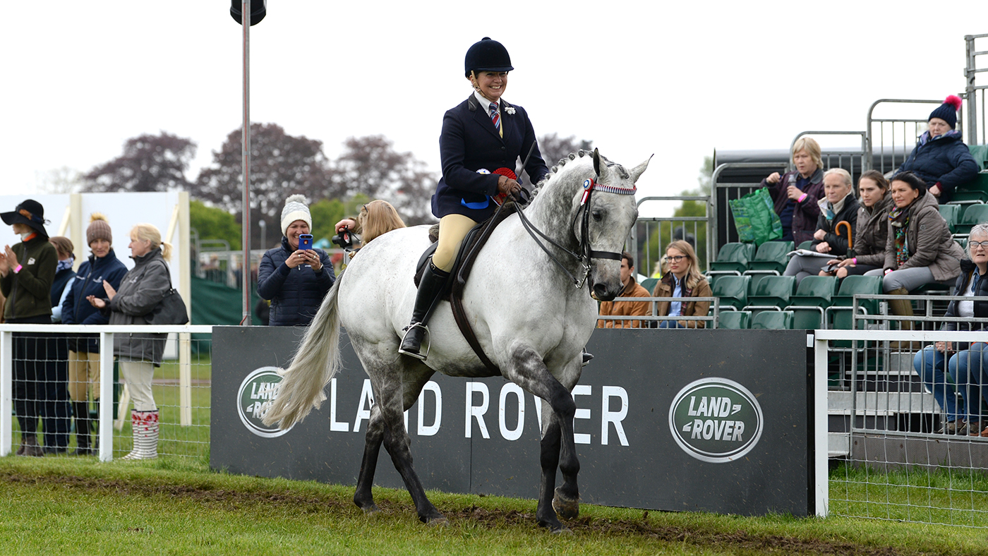 RWHS 08 05 19