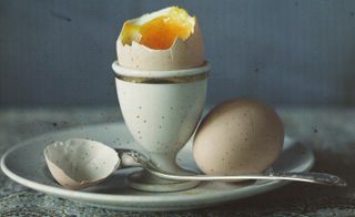 Boiled egg in egg holder