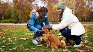 Two women in a park with their dog