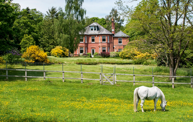 interest in equestrian estates remains consistent