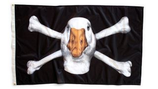 Flag featuring a duck and crossbones