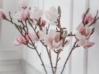 magnolia branches in vase