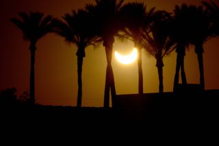 Annular solar eclipse and Palms