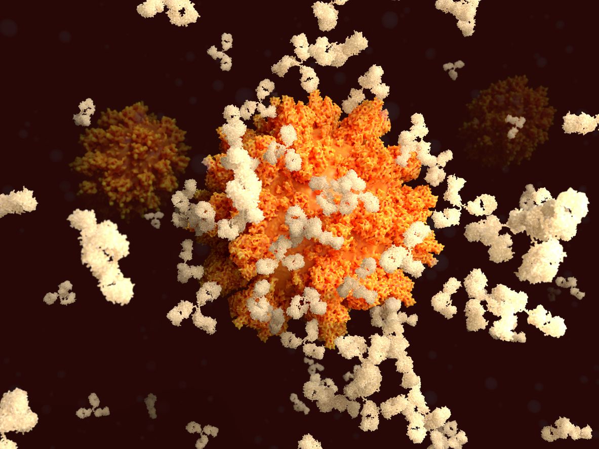 A coronavirus with spike proteins.