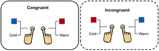 The congruent pairing (left) asked people to associate red and warm, blue and cold. The incongruent pairing (right) asked people to associate the reverse.