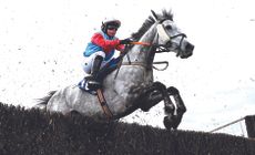 The Gradual Slope, with Nicole Lockhead Anderson up, jumps the last on their way to winning the Blackrock College AFC Ladies National Handicap Steeplechase during day one of the Fairyhouse Easter Festival at Fairyhouse Racecourse in Ratoath, Meath.