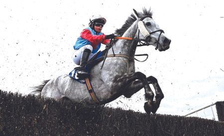 The Gradual Slope, with Nicole Lockhead Anderson up, jumps the last on their way to winning the Blackrock College AFC Ladies National Handicap Steeplechase during day one of the Fairyhouse Easter Festival at Fairyhouse Racecourse in Ratoath, Meath.