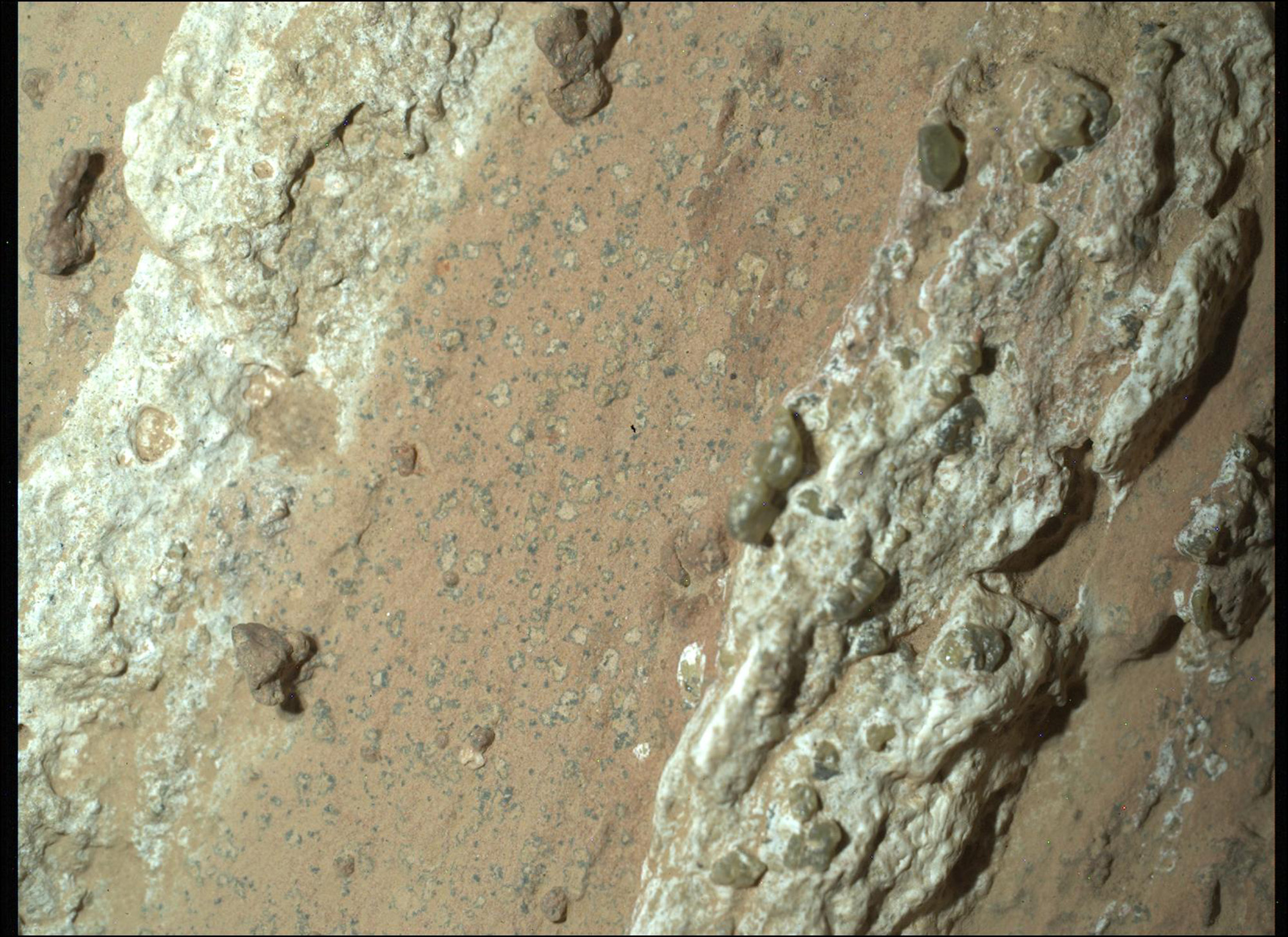 NASA's Perseverance rover finds record concentration of organic molecules on Mars