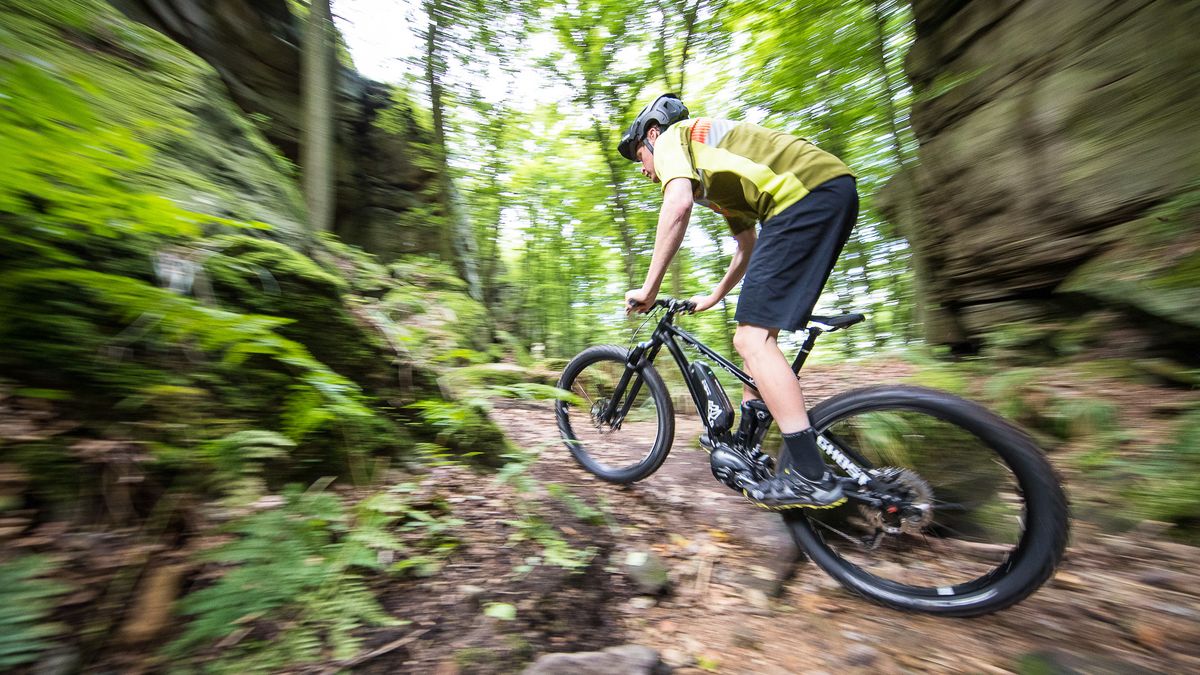 Mastering Bootstrap Breakpoints Precisely Targeting Divs with Container Queries - PRO launches two new enduro and e-MTB specific saddles - TrendRadars