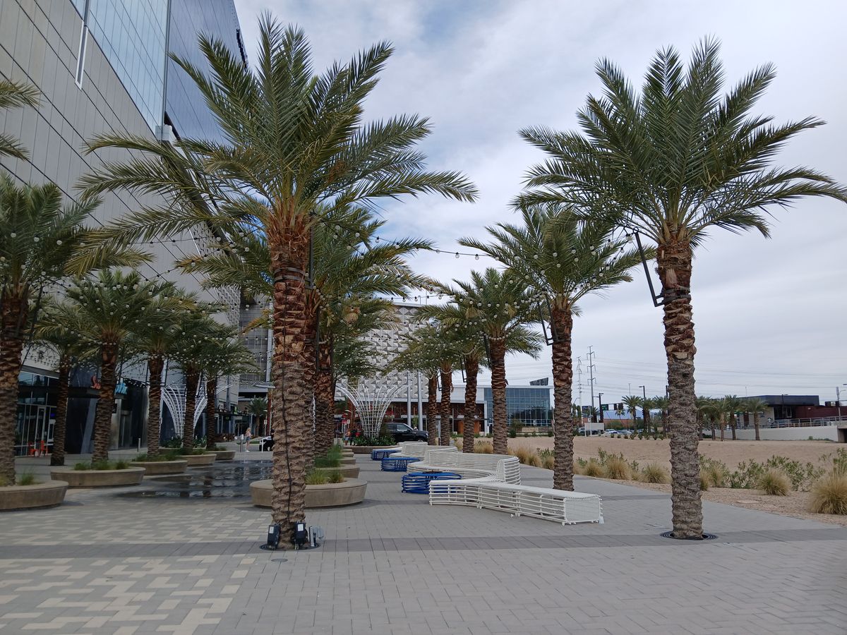 Camera sample captured by the Samsung Galaxy A15 5G