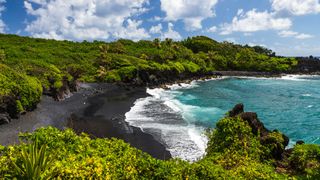 Green forest and ocean in Hawaii