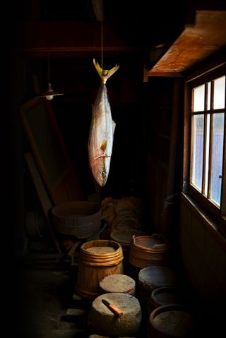 A fish hanging in a room